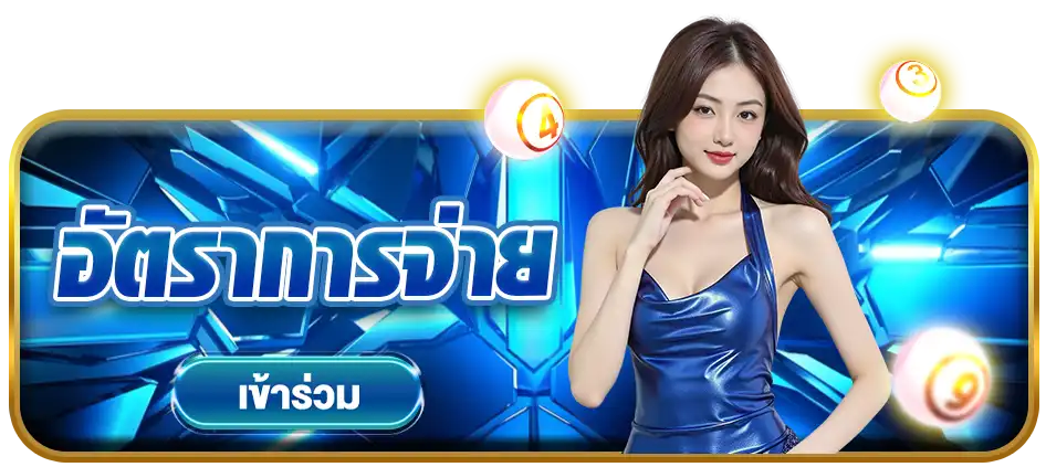 แบนเนอร์ 1